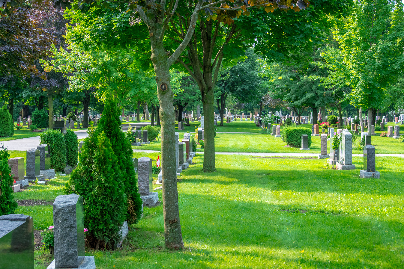 A beautiful graveyard marked with rows of headstones and lined w